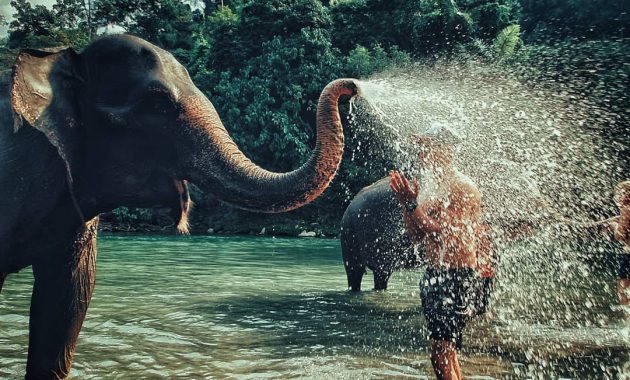 Dollar Village Tour, Lake Toba, Piso-Piso WaterFall, Berastagi, Bukit Lawang, Tangkahan